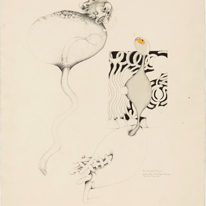 Renal Cole and the Ruptured Duck by Lee Baxter Davis