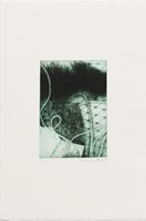 Feld, Cecelia, Umtitled