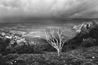 Wood, Myron, Northwest Colorado