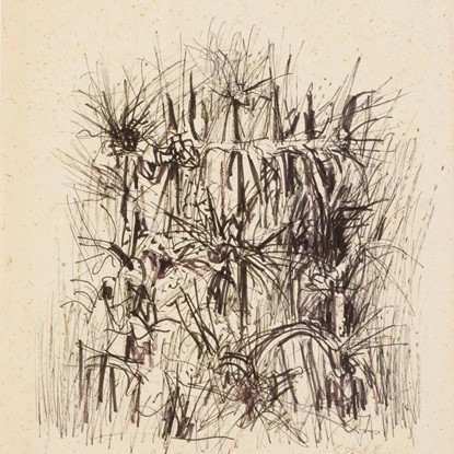 Untitled (Desert Plants - 2) by Everett Franklin Spruce