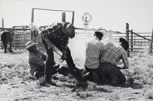 Wood, Myron, Branding, Jon Frost Ranch, Pueblo, Colorado