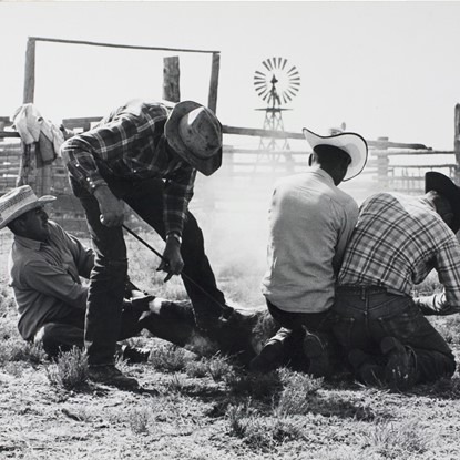Branding, Jon Frost Ranch, Pueblo, Colorado by Myron Wood