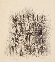 Spruce, Everett Franklin, Untitled (Desert Plants - 2)