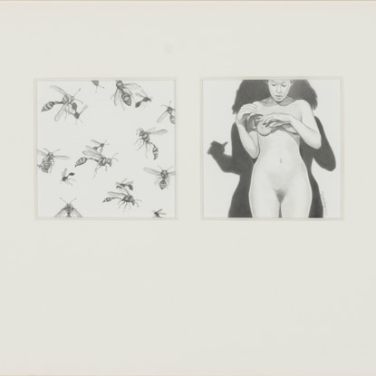 Shadow Dreams: Wasps by Ellen Soderquist