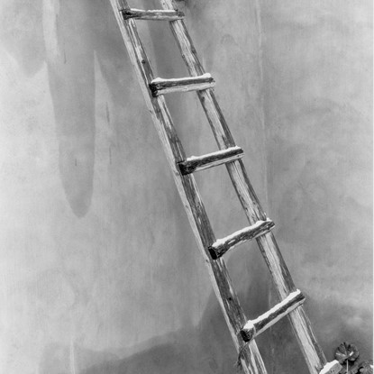 Ladder In Winter, Abiquiu, New Mexico by Myron Wood