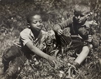 Albok, John, In The Open Field