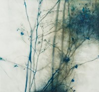 Harnden, Marci Crawford, Swan Sky II