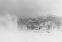 Wood, Myron, Horses In Mountain Storm, Colorado