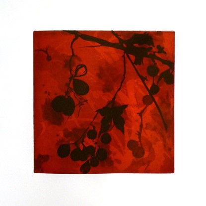 Mustang Grapes by Suzi Davidoff