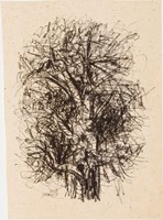 Spruce, Everett Franklin, Untitled (Treetop)