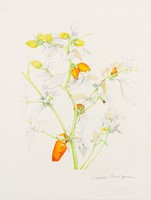 Andrews, Jean, Floral Gem