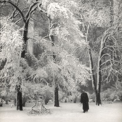 Great  Blizzard, Central Park, New York by John Albok
