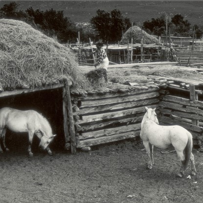 Ben Marcus Horses, Taos Pueblo, New Mexico by Myron Wood