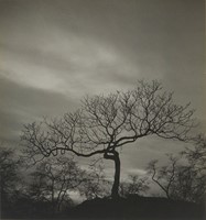 Albok, John, November, 1933
