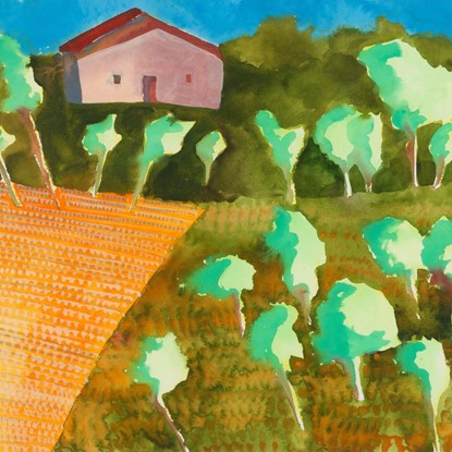 Olive Grove by Elaine Holien