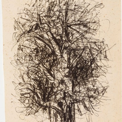 Untitled (Treetop) by Everett Franklin Spruce