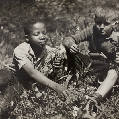 In The Open Field by John Albok