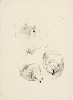 Davis, Lee Baxter, Shutter Bug Bumpers