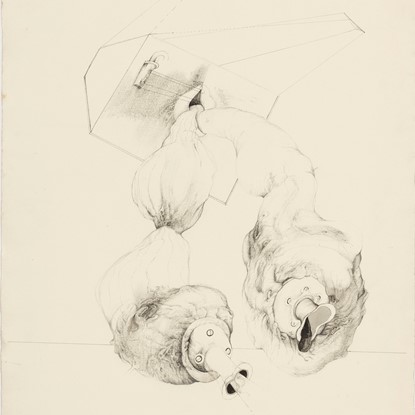 Shutter Bug Bumpers by Lee Baxter Davis