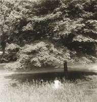 Albok, John, Central Park