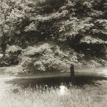 Central Park by John Albok