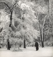 Albok, John, Great  Blizzard, Central Park, New York