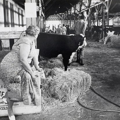 Livestock Barn, Colorado State Fair at Pueblo, Colorado by Myron Wood