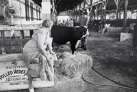 Wood, Myron, Livestock Barn, Colorado State Fair at Pueblo, Colorado